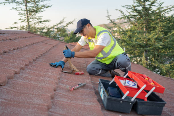 Best Metal Roofing Contractor  in Lyndonville, VT